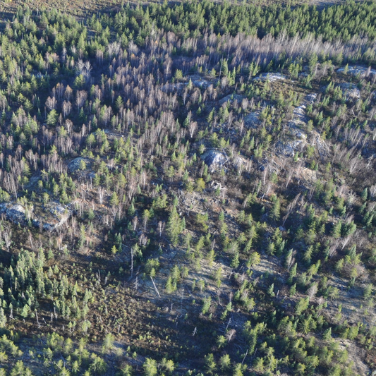 Durango Reports 107.68 Meters of 38.85 GPT Gallium, 701 GPT Rubidium, 24.98 GPT Cesium, and 3.61 GPT Thallium From Surface in Diamond Drilling at NMX East Critical Metals Project