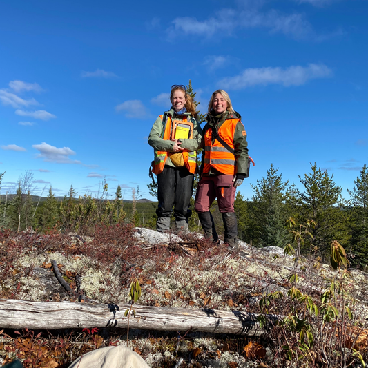 Durango Initiates Next Steps at NMX East Critical Metals Project and Welcomes Catriona Breasley to Critical Metals Advisory Team