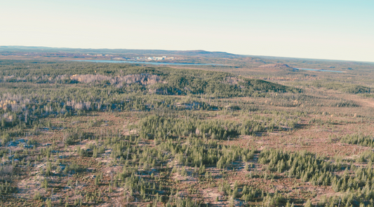 Quantum Critical Metals Announces Non-Brokered Private Placement