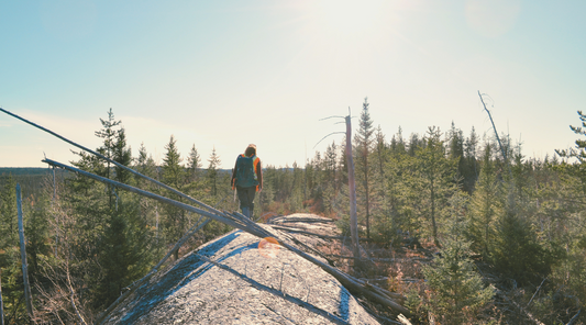 Quantum’s NMX East Heats Up: PGE Potential Emerges Next to Rapidly Expanding Polymetallic District