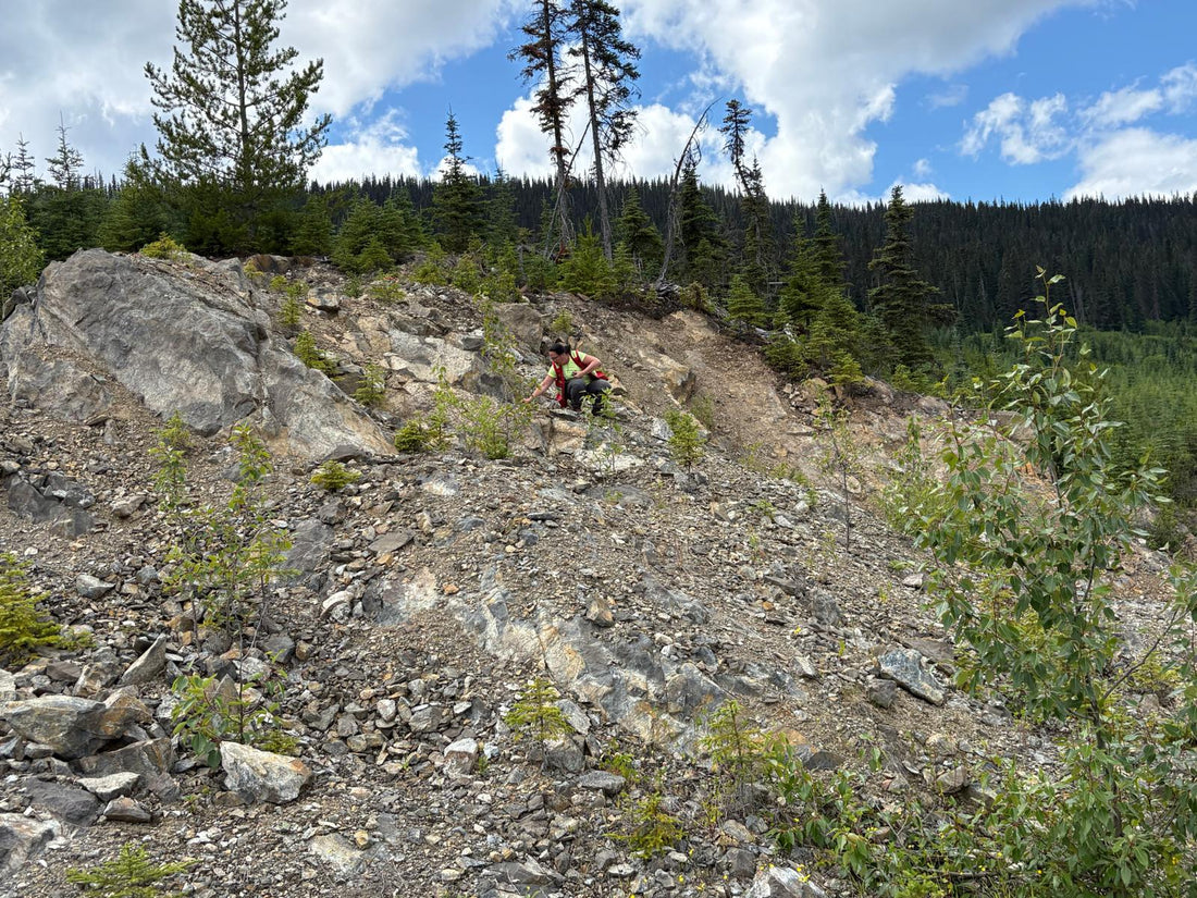 Quantum Secures Claim Covering Historic Silver Workings at Babine South, British Columbia