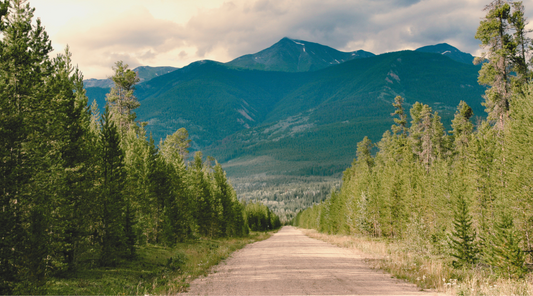 Quantum Visits Babine Copper Projects, BC